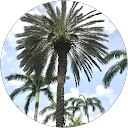 Nancy Mondragon profile picture