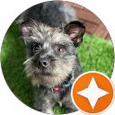 Marienkar Balza profile picture